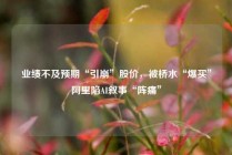 业绩不及预期“引崩”股价，被桥水“爆买”阿里陷AI叙事“阵痛”