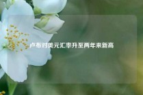 卢布对美元汇率升至两年来新高