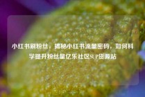 小红书刷粉丝，揭秘小红书流量密码，如何科学提升粉丝量亿乐社区SUP货源站