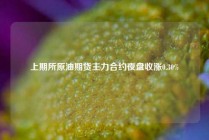 上期所原油期货主力合约夜盘收涨0.30%