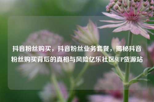 抖音粉丝购买，抖音粉丝业务套餐，揭秘抖音粉丝购买背后的真相与风险亿乐社区SUP货源站  第1张