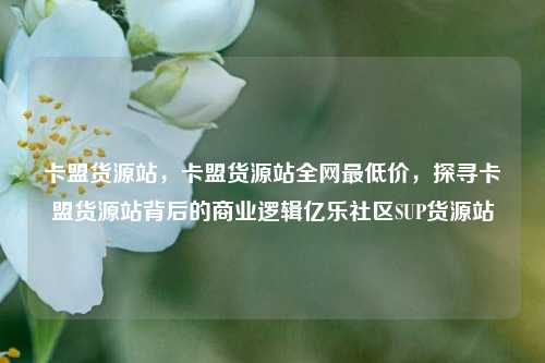 卡盟货源站	，卡盟货源站全网最低价，探寻卡盟货源站背后的商业逻辑亿乐社区SUP货源站  第1张