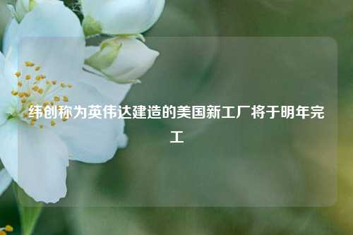 纬创称为英伟达建造的美国新工厂将于明年完工  第1张