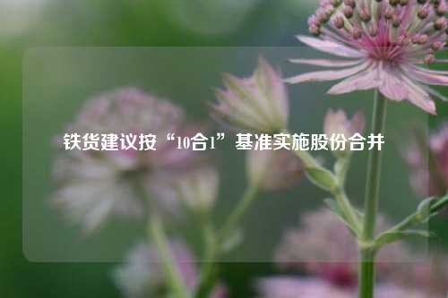 铁货建议按“10合1”基准实施股份合并  第1张
