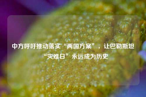 中方呼吁推动落实“两国方案	”，让巴勒斯坦“灾难日”永远成为历史  第1张