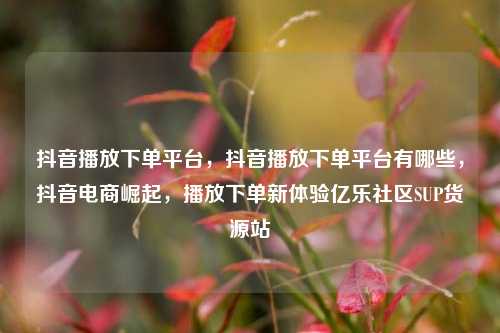 抖音播放下单平台，抖音播放下单平台有哪些，抖音电商崛起	，播放下单新体验亿乐社区SUP货源站  第1张