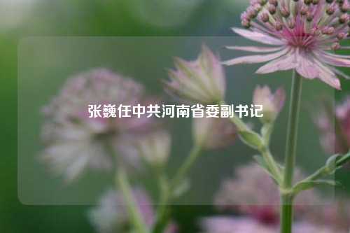 张巍任中共河南省委副书记  第1张