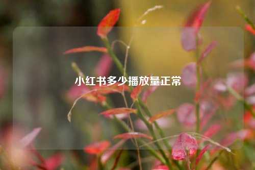 小红书多少播放量正常  第1张