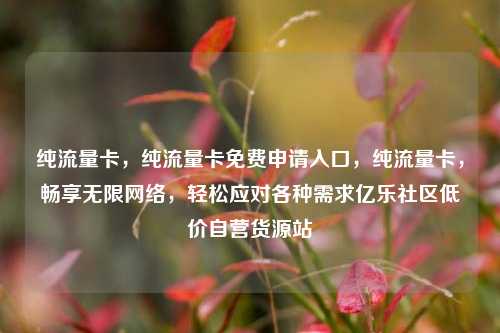 纯流量卡，纯流量卡免费申请入口，纯流量卡	，畅享无限网络，轻松应对各种需求亿乐社区低价自营货源站  第1张