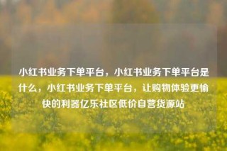 小红书业务下单平台，小红书业务下单平台是什么，小红书业务下单平台，让购物体验更愉快的利器亿乐社区低价自营货源站