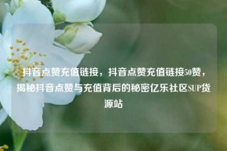 抖音点赞充值链接，抖音点赞充值链接50赞，揭秘抖音点赞与充值背后的秘密亿乐社区SUP货源站