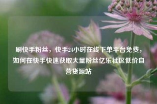刷快手粉丝，快手24小时在线下单平台免费，如何在快手快速获取大量粉丝亿乐社区低价自营货源站