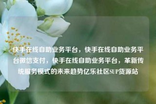 快手在线自助业务平台，快手在线自助业务平台微信支付，快手在线自助业务平台，革新传统服务模式的未来趋势亿乐社区SUP货源站