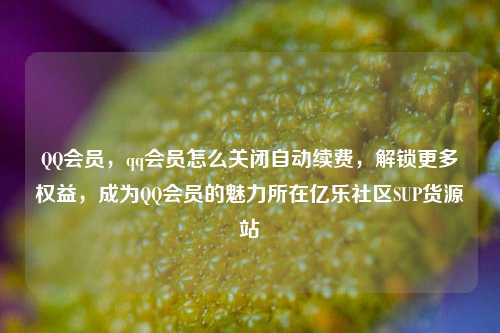 QQ会员	，qq会员怎么关闭自动续费，解锁更多权益，成为QQ会员的魅力所在亿乐社区SUP货源站  第1张
