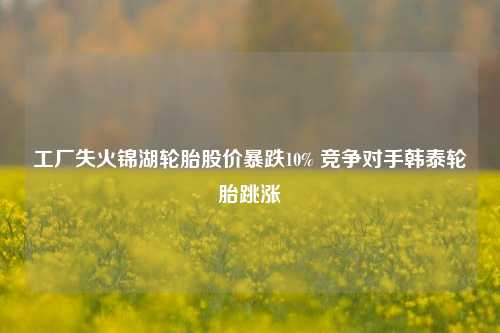 工厂失火锦湖轮胎股价暴跌10% 竞争对手韩泰轮胎跳涨  第1张