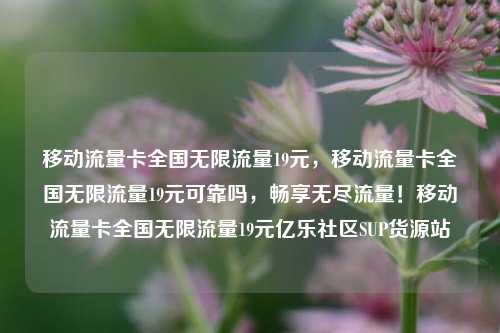 移动流量卡全国无限流量19元	，移动流量卡全国无限流量19元可靠吗，畅享无尽流量！移动流量卡全国无限流量19元亿乐社区SUP货源站  第1张