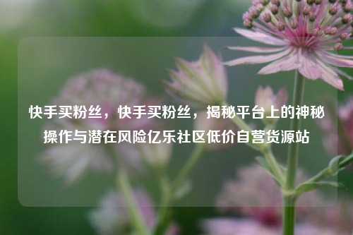 快手买粉丝，快手买粉丝	，揭秘平台上的神秘操作与潜在风险亿乐社区低价自营货源站  第1张