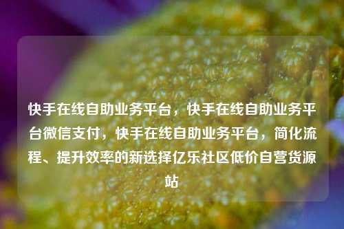 快手在线自助业务平台，快手在线自助业务平台微信支付，快手在线自助业务平台	，简化流程	、提升效率的新选择亿乐社区低价自营货源站  第1张