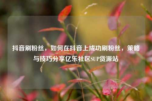 抖音刷粉丝	，如何在抖音上成功刷粉丝，策略与技巧分享亿乐社区SUP货源站  第1张