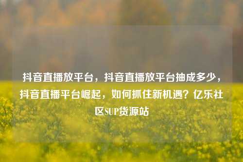 抖音直播放平台，抖音直播放平台抽成多少	，抖音直播平台崛起，如何抓住新机遇？亿乐社区SUP货源站  第1张
